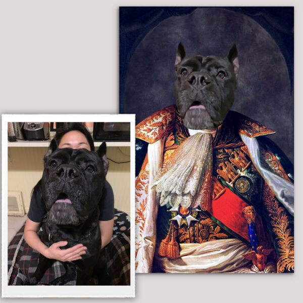 King I Renaissance Custom Pet Art - Image 11