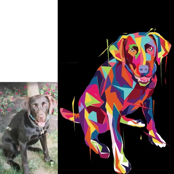 Geo Pop Art