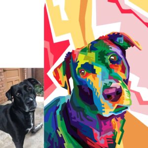 Geo Pop Art