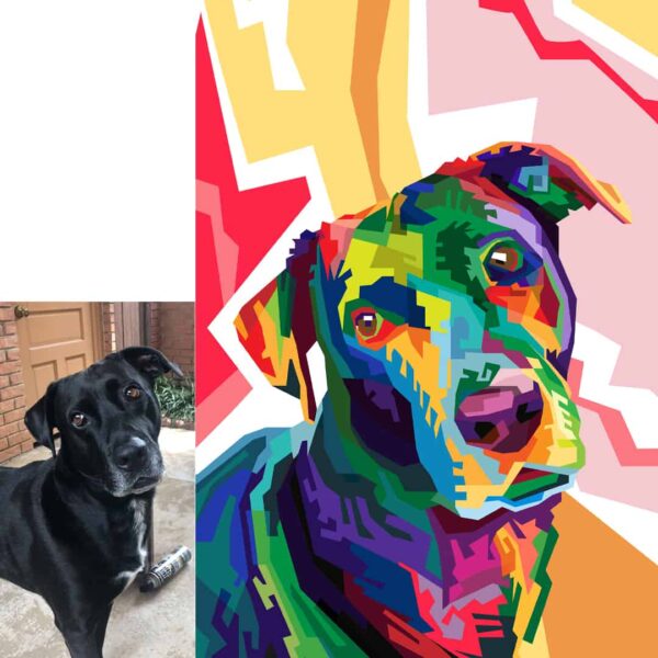 Geo Pop Art