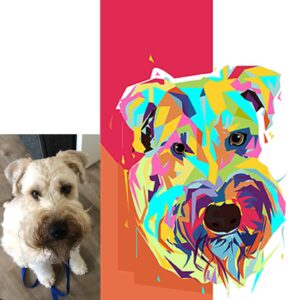 Geo Pop Art
