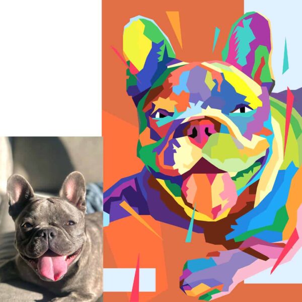 Geo Pop Art