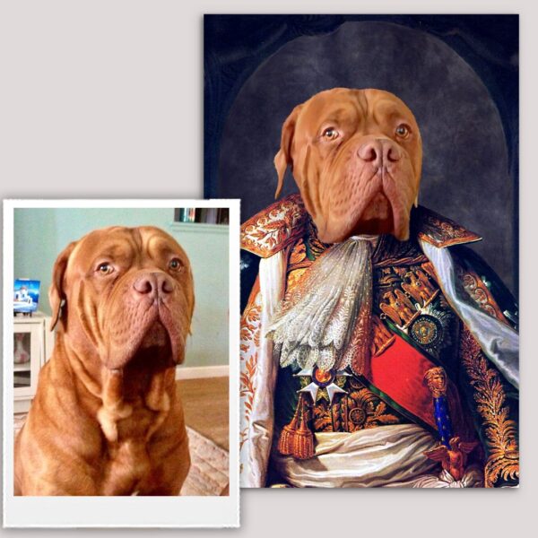 King I Renaissance Custom Pet Art - Image 20