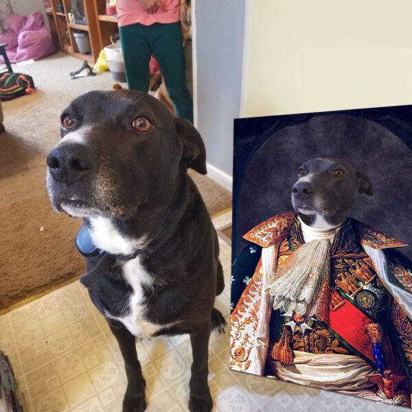 King I Renaissance Custom Pet Art - Image 19