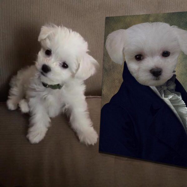 The Count Renaissance Custom Pet Art - Image 12