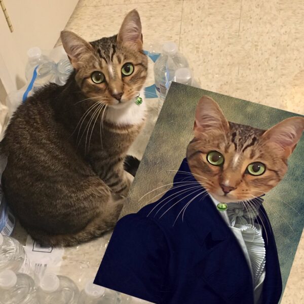 The Count Renaissance Custom Pet Art - Image 13
