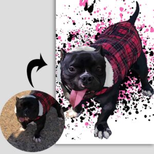 Paint Splash Custom Art