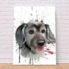 Paint Splash Custom Art
