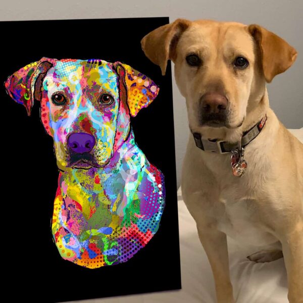 Pop Culture Custom Art