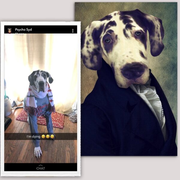 The Count Renaissance Custom Pet Art Canvas