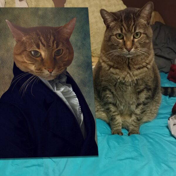 The Count Renaissance Custom Pet Art - Image 11