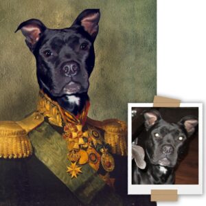 Commander Custom Renaissance Pet Art Canvas