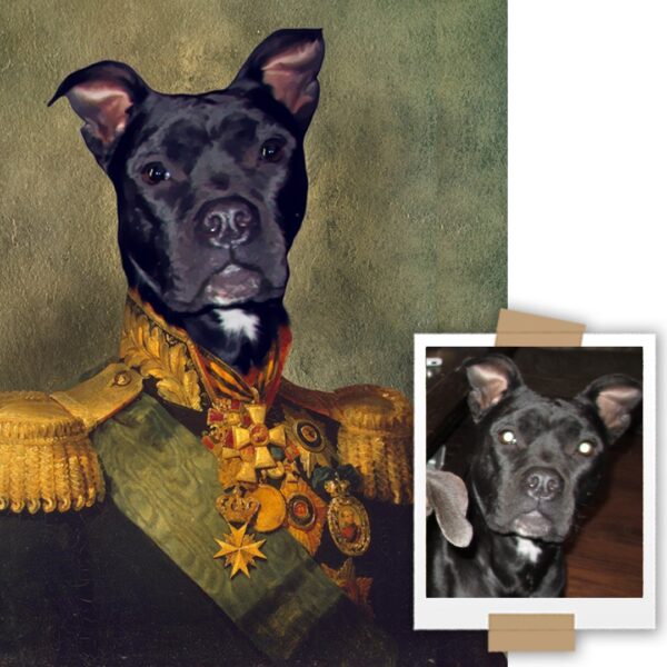 Commander Custom Renaissance Pet Art Canvas