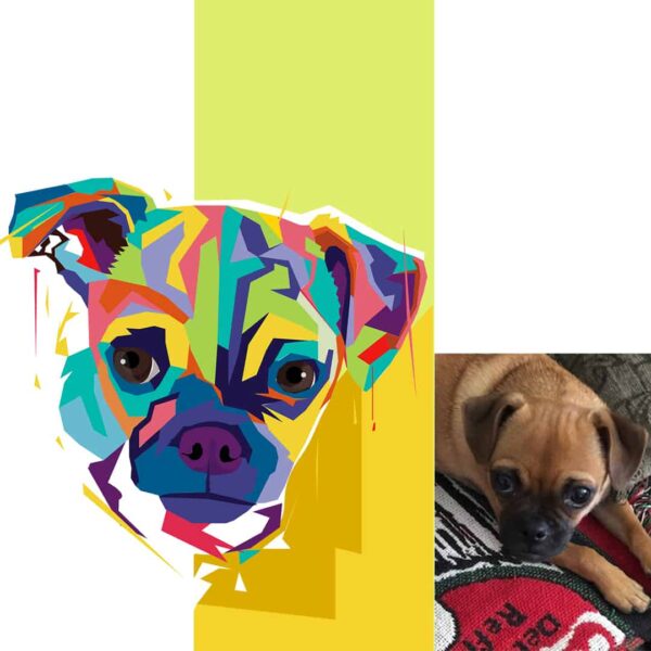 Nouveau Picasso Pet Art - Image 12