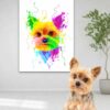 Multicolor Paint Custom Art