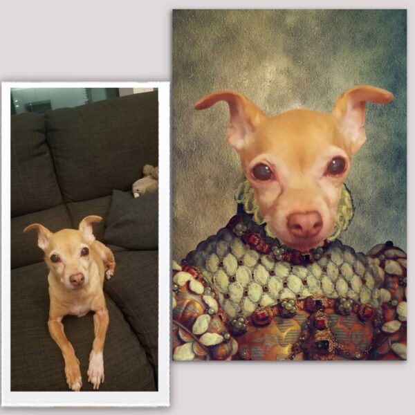 Princess Renaissance Custom Pet Art Canvas