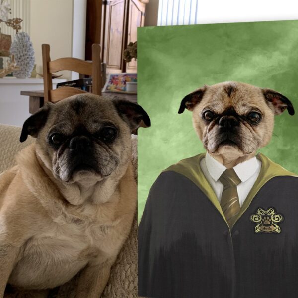 Harry Potter Hufflepuff Custom Pet Art - Image 4