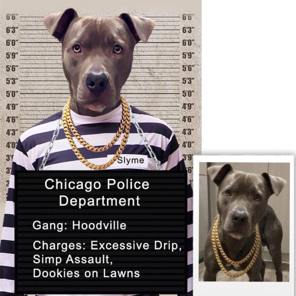 Mug Shot Inmate Custom Pet Art - Image 5