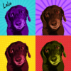 Custom Pet Warhol Art