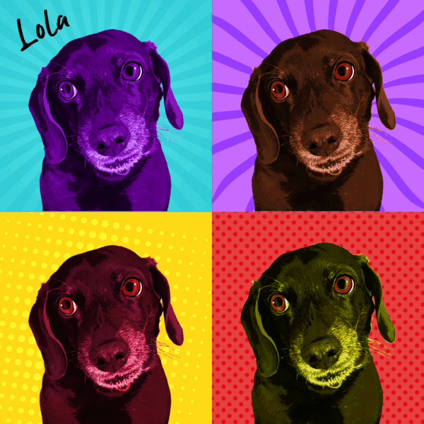 Custom Pet Warhol Art