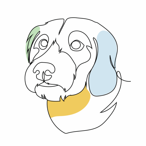 Colored Line Art Pet Custom Portrait - Image 6