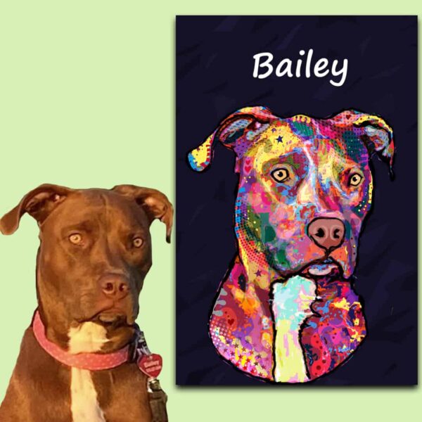 Graffiti Pop Culture Custom Pet Art