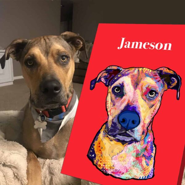 Graffiti Pop Culture Custom Pet Art