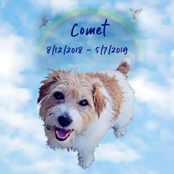 Custom Memorial Pet Painting - Gallery Canvas