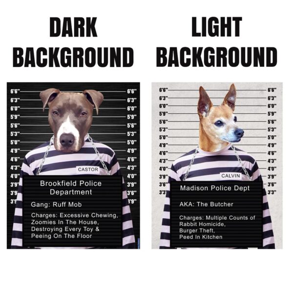 Mug Shot Inmate Custom Pet Art Canvas